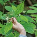 숲이야기 이미지