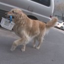 부부공예 이미지