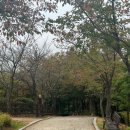 근린공원(게이트볼장옆)화장실 이미지