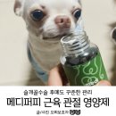 미소메디 | 슬개골수술 후 메디퍼피 액티브 M 강아지 영양제로 꾸준히 관리중💕