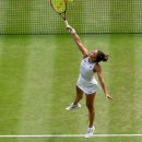 라인시스템 이미지