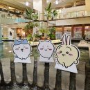 카페 리버(Cafe River) 이미지