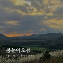 용눈이오름 주차장 | 용눈이 오름 vs 금오름 초보자가 가기엔 어디가 나을까? 용눈이오름 후기