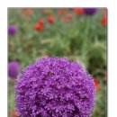 오며가며 이미지