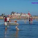 해밀톤사우나 이미지