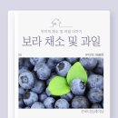무지개과일 - 양주시 옥정동로5길 35 | 무지개과일