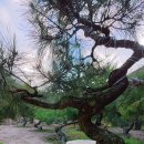 태림농원 이미지