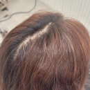금정주유소 | [부산/금정구] 빛나는 오늘에서 오늘을 진짜로...1인 프라이빗 미용실 &lt;빛나는 오늘&gt; 방문 후기 💇🏻‍♀️✨