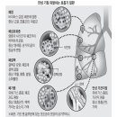 새나래병원 네이버블로그