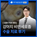 청담병원 | 청담 동물병원 강아지 비만세포종 증상 수술 후기