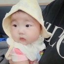 정호네 | [순천 맛집] 연향동 정호네 감자탕 단골 내돈내산 후기