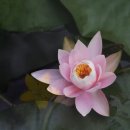 여기서지금 이미지