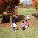 매봉초병설유치원 이미지