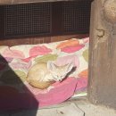 아라마루아쿠아카페 이미지