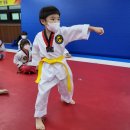 성인 태권도장 이미지