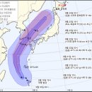 160㎞ 강풍에 600㎜ 폭우···최악 태풍 '타파' 한반도 강타한다 이미지