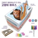 랩캣