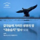 [일원1] 가정 헤어 이미지