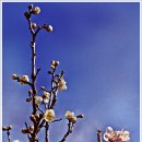 섬빛 사진동호회 정기 출사 이미지