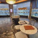 도그마루 강아지 고양이 부산점 이미지