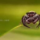 훼미리레지던스원룸텔 | 훼미리레지던스 원룸텔 위치가 정말 마음에 들어