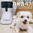 &lt; 디클 펫트리 자동 급식기 &gt; 사용후기 언박싱편