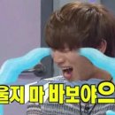 여수게스트하우스플라잉피그B&B 이미지