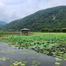 경남고성 상리연꽃공원 이미지