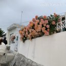 노가니길 이미지