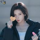 배이 카카오 검색결과