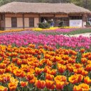 역곡초등학교1 이미지