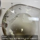 부흐 | 가볍고 깔끔해서 낮술하기 좋은 레 부흐가헬 소비뇽블랑