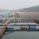 바다수산 좌대낚시 네이버블로그