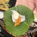 활어장군 이미지