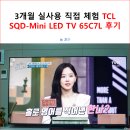 C&L 당구클럽 | 3개월 실사용 직접 체험 TCL SQD-Mini LED TV 65C7L 후기