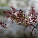 대구시립중앙도서관 이미지