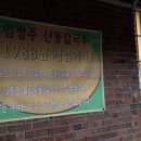 임병주 산동칼국수 티스토리