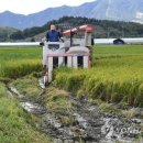 양구군 전처리시설 이미지