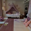 태리펫 | 서울근교호텔 광명역 호캉스 추천 라까사 광명 팅거벨 객실 아이와 함께!