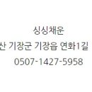 싱싱채운