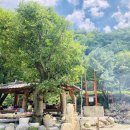 거림가든 이미지