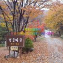 청풍마을펜션