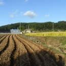 송시마을회관 이미지