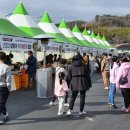 산청IC(대전)