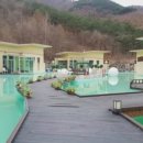 풀빌라펜션 드위트리 1 이미지