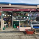 변산그횟집 | [부안 여행] 산지직송 조개와 신선한 해물의 만남, 해물탕 맛집 '변산그횟집' 방문후기