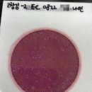 나연푸드 이미지