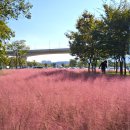 낙동강체육공원 축구장4 이미지