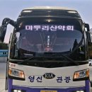 강구농협하나로마트 앞 이미지