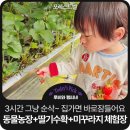 아까금농장 | 아이들 부모님 주목!! 집가면 기절해버리는 마법의 농장 체험 포레스트벨 아이랑 다녀왔어요. 키즈카페...
